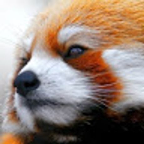 Observable profile picture for @sherman