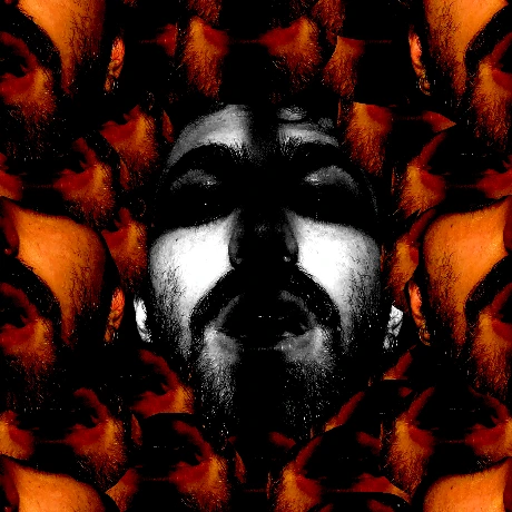 @amir-lankarani