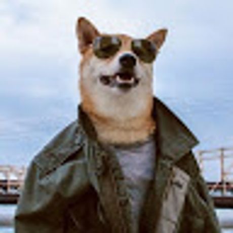 Observable profile picture for @boo