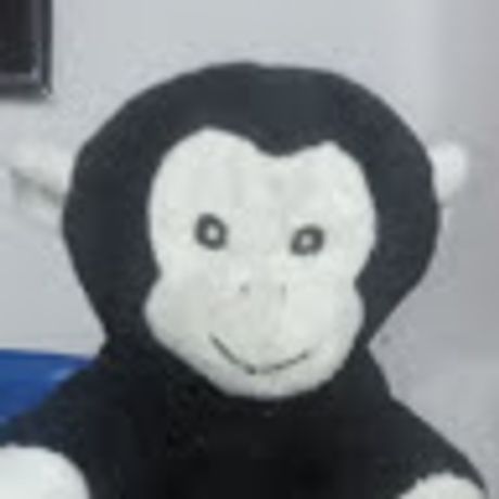 Observable profile picture for @sayan