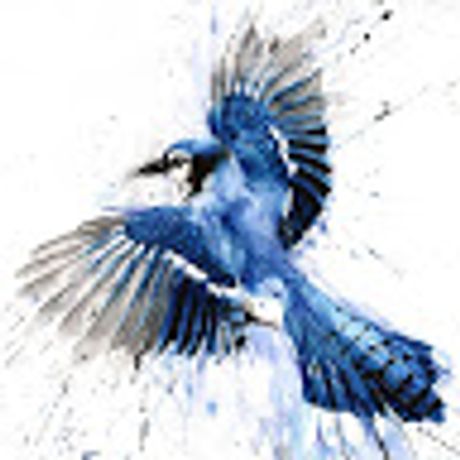 Observable profile picture for @tt