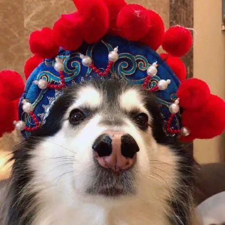Observable profile picture for @radish