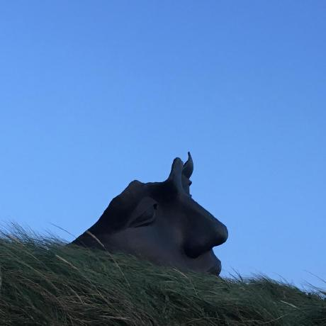 Observable profile picture for @nat5