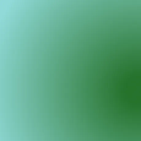 Projects | Observable