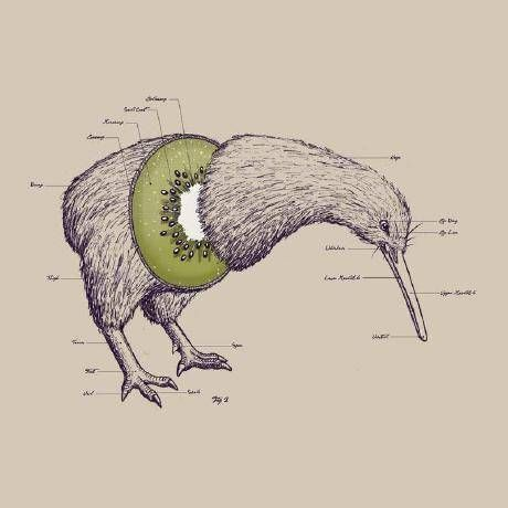 Observable profile picture for @bc