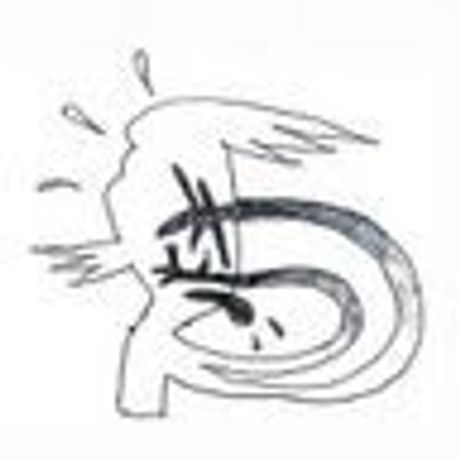 Observable profile picture for @koko