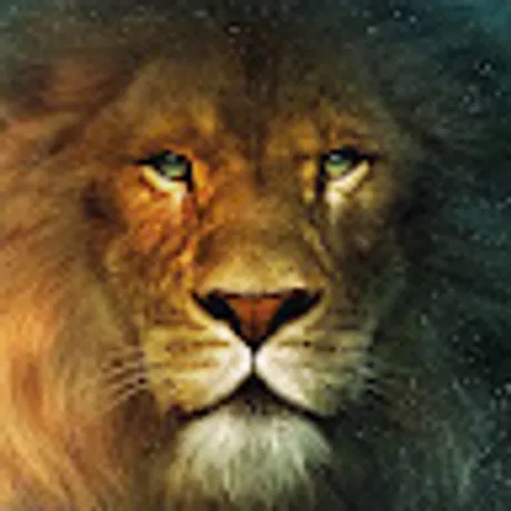 Observable profile picture for @kar