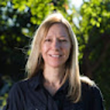 Observable profile picture for @sila