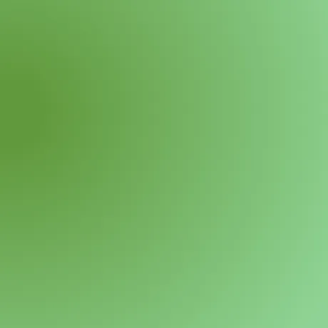 Data Visualisation | Observable
