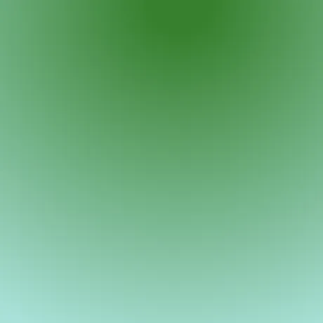 @directorobi
