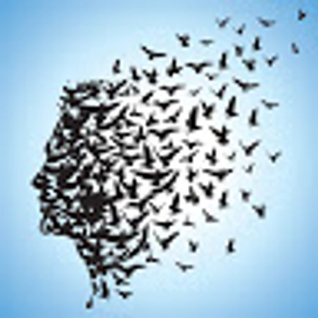 Observable profile picture for @je