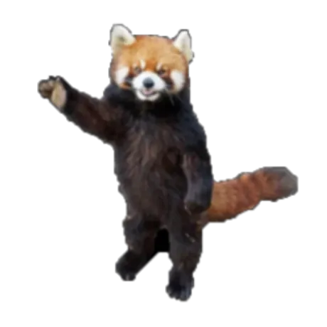 Observable profile picture for @marcus5