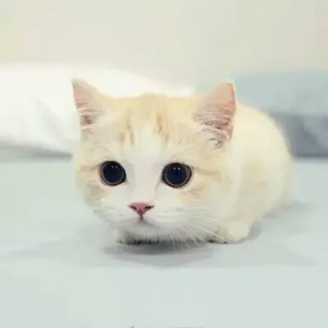 @jacky2