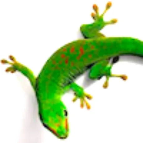 Observable profile picture for @gecko