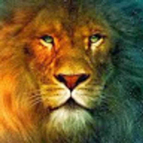 Observable profile picture for @sundar