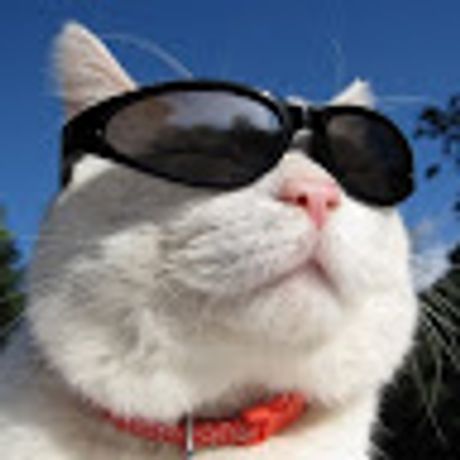Observable profile picture for @allan