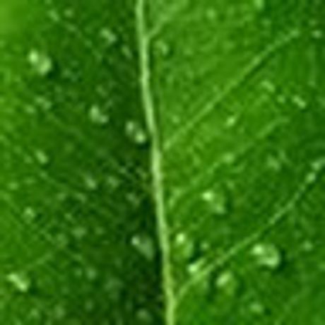 Observable profile picture for @un