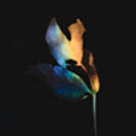 Observable profile picture for @umair