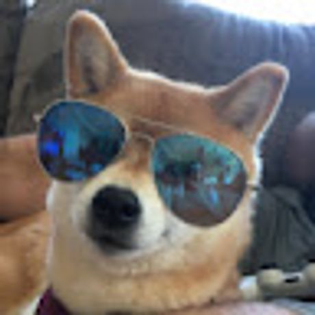 Observable profile picture for @shiba