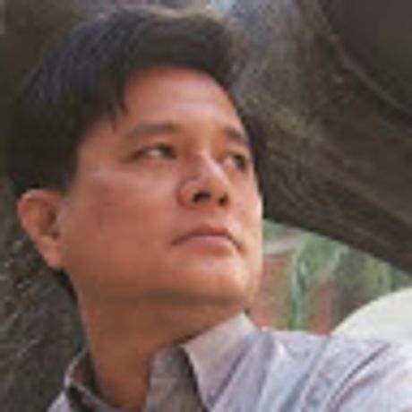 Observable profile picture for @stein