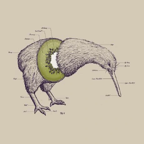 Observable profile picture for @gene