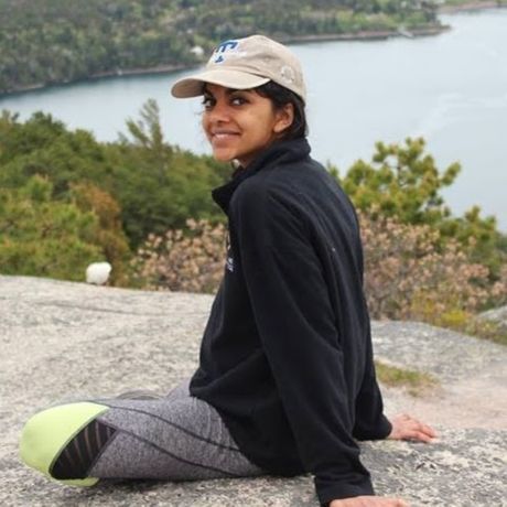Observable profile picture for @harini