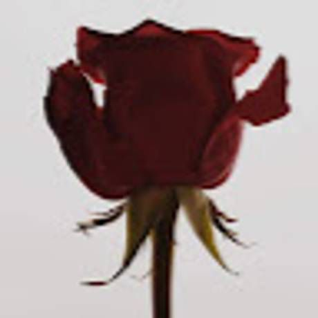 @ideasforu