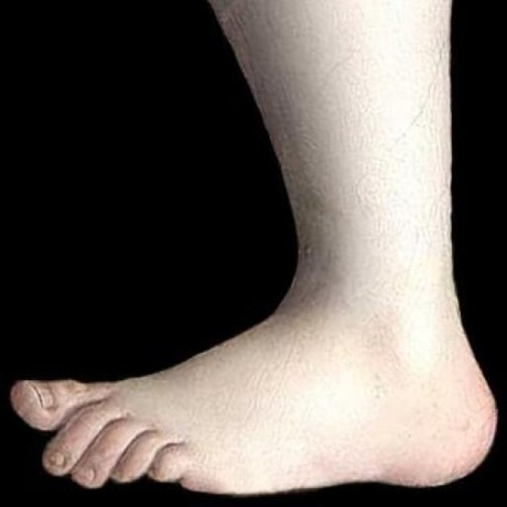 Observable profile picture for @foot