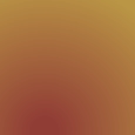 Observable profile picture for @birch