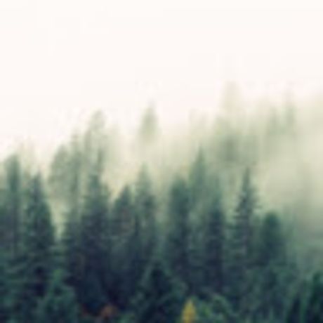Observable profile picture for @jn